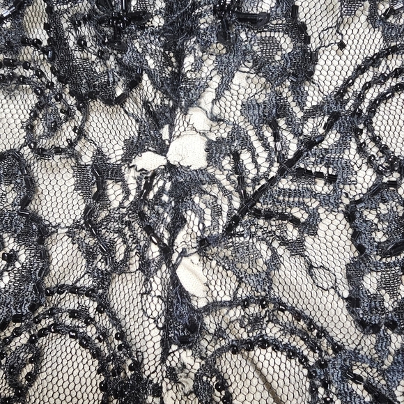 Stenay beaded and lace pants with nudes lining. Size 6. Back zip. - Picture 8 of 11